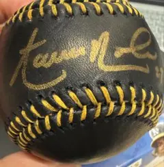激レア MLB 公式球 ブラックボール ピート・ローズ 直筆サイン入
