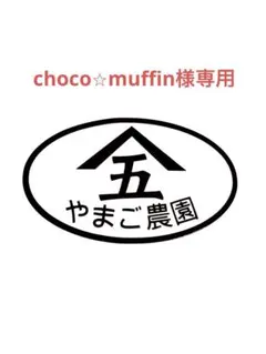 33choco⭐︎muffin様専用