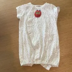 petit main はらぺこあおむし