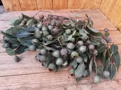 よっかんようかん様 リクエスト 3点 まとめ商品