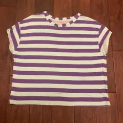 ZARA ボーダー Tシャツ ブルー×パープル　S