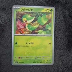 ポケモンカード ツタージャ