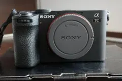 2026年最新】α7C2の人気アイテム - メルカリ