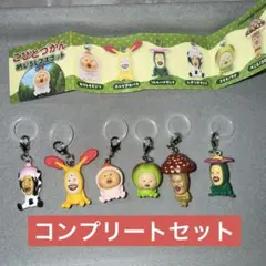 こびとづかん　めじるしアクセサリー　コンプリートセット