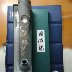 Item thumbnail for item 72f55841-5c9c-4c8b-88ea-8de77cda80f7