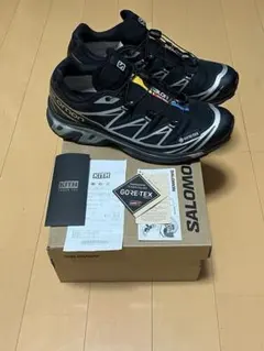 Item thumbnail for item 0a4297c6-07a2-4e36-bd79-3624146f2440