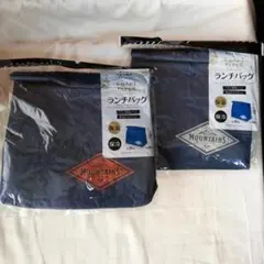 新品2種セット！紙袋風クラフトランチバッグ アビスカラー