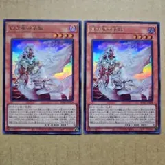 白き竜の落胤 ウルトラレア 2枚セット 遊戯王