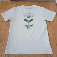 【M】パタゴニア　白　Tシャツ　39167sp18