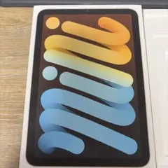 iPad mini6 256GB