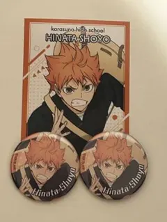 ジャンプフェスタ ハイキュー!! 日向翔陽 ブロマイド1枚＋缶バッジ2個セット