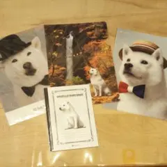 お父さん犬　クリアファイル　ノート　ソフトバンク