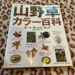 Item thumbnail for item 32b810ee-a455-4cad-ba56-5d33819d43e7