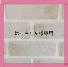 はっちゃん様専用ページ