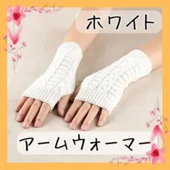 新品 ホワイト アームウォーマー アームカバー 手袋 防寒対策 スマホ 可愛い