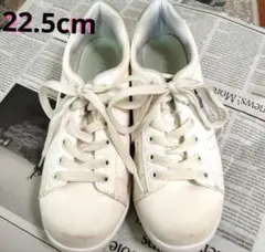 Item thumbnail for item e3e79542-6656-486b-8d35-f827f05caa1e