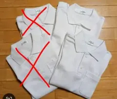 Item thumbnail for item 27afde22-9c5e-4c4f-a2f4-dea4c2859a84