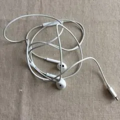 Apple純正イヤーポッズLightning端子付き✖️2個