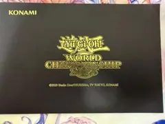 2026年最新】wcs2019 未開封の人気アイテム - メルカリ