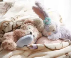 ダッフィフレンズ　スウィートドリーム　♡ステラルー ☆シェリーメイ♡