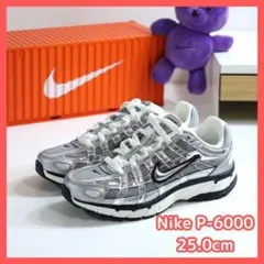 【新品】NIKE P-6000 メタリックシルバー 25.0cm レディース