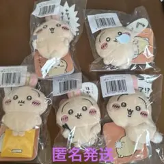 ちいかわ　うさぎだらけくじ E賞 ぬいぐるみバッジ　5種類