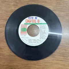 SUGAR BELLY SUGAR MERENGUE STUDIO ONE - メルカリ