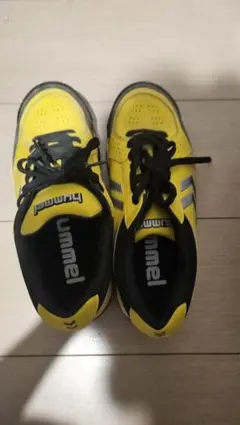 Item thumbnail for item 0030b934-25a9-47d9-b4fe-7ace11d02444