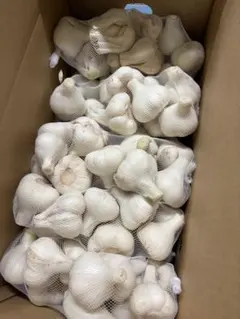 新物 令和8年度産 青森県産 福地ホワイト六片 生にんにく Ｌ 玉 １ｋｇのサムネイル
