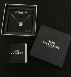 COACH ネックレス シルバーカラー ストーンのサムネイル