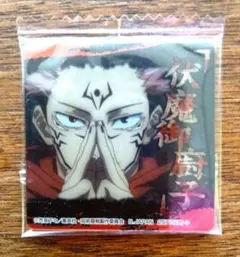 未開封 虎杖悠仁 両面宿儺 ミニプラカード 呪術廻戦