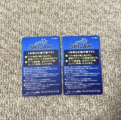 スキージャム勝山 リフト券 大人 25-26シーズン【休日可】