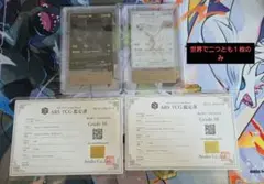 極美品 【ARS10＋】アセロラ TR フルメタルウォール 鑑定書 キラ ホロ