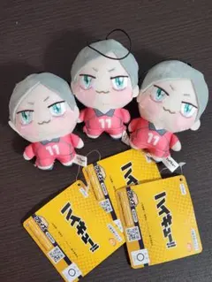 ハイキュー ちょぴぬいぷち 灰羽リエーフ 3点セット