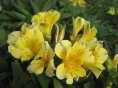 まりまり様 リクエスト 2点 まとめ商品