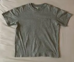 BANANA REPUBLIC グレー Tシャツ M