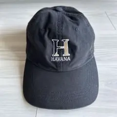 H.W.DOG & CO. ワークキャップ ネイビー 2026年最新】Hwy キャップの人気アイテム - メルカリ