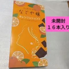 なごや嬢オレンジ&ショコラ16個入　お菓子　チョコ　名古屋　名物　銘菓のサムネイル