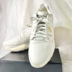 Item thumbnail for item a5f8f3f4-3541-404d-aab9-379c15777faa