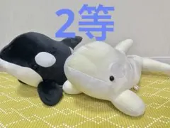 名古屋港水族館　シャチくじ　2等ぬいぐるみのサムネイル