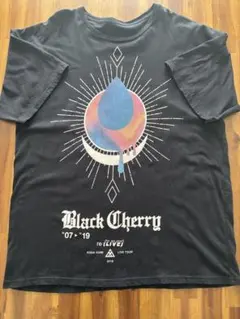 2026年最新】black cherry [ 倖田來未 ]の人気アイテム - メルカリ