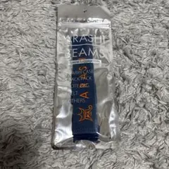 ・*.:+らら☆・:* 様専用 ARASHI BEAMS ラゲッジマーク 青