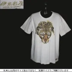 m25271・LL～4L・値下★伊太利屋★カットソー伸縮性大のサムネイル
