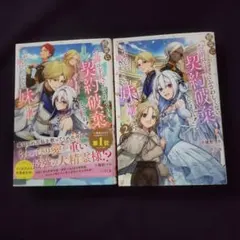 精霊に「お前は主人にふさわしくない、契約破棄してくれ!」と言われたので、欲しが…