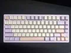 WOBKEY rainy 75 pro purple