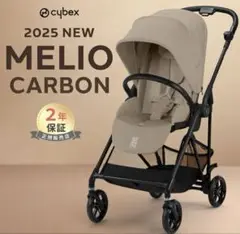 2025 サイベックスメリオカーボン　インレイ未使用✨