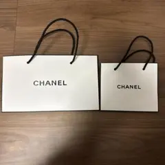CHANEL ショップ袋 大・小 2点セット