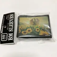 Item thumbnail for item fa4b762f-52b9-4520-9f14-3cc89a251019