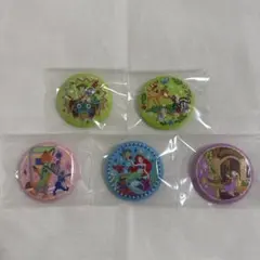 Disney Characters 刺繍缶バッジ 5点セット