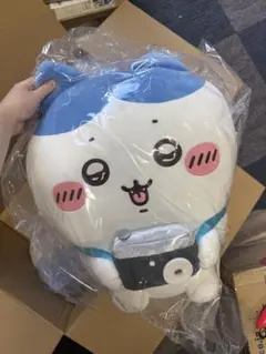 ハチワレだらけくじ A賞 撮るよーッ！！のサムネイル